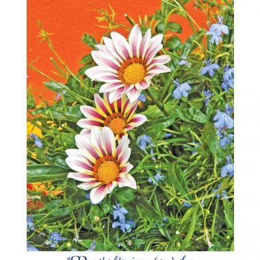 Blessings of each day floral get well card