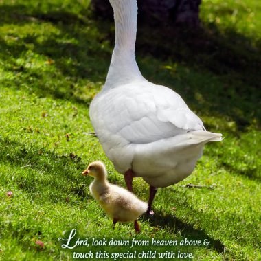 Irish Prayer New Baby card