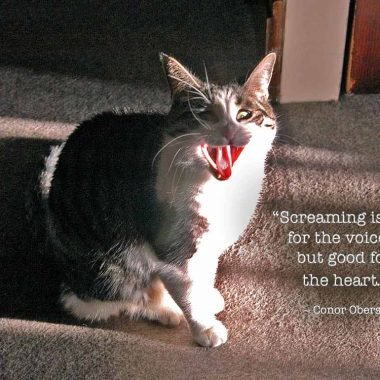 Screaming cat thinking of you card