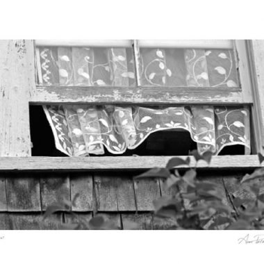 BL-110 Black and White window