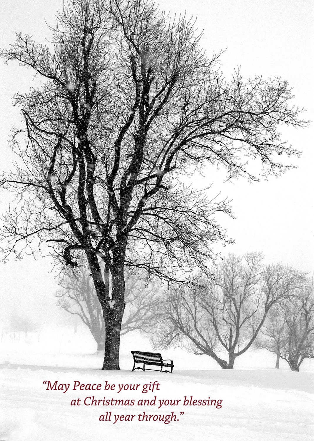 Bench and tree christmas card