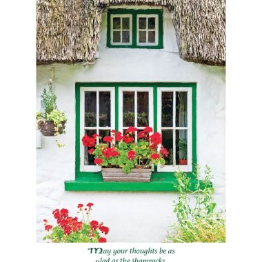 Thatched house Irish Birthday