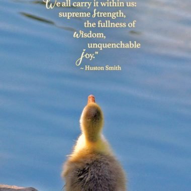 Supreme strength Birthday card