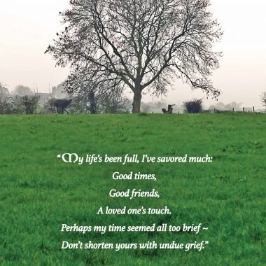 Undue-grief-irish-sympathy