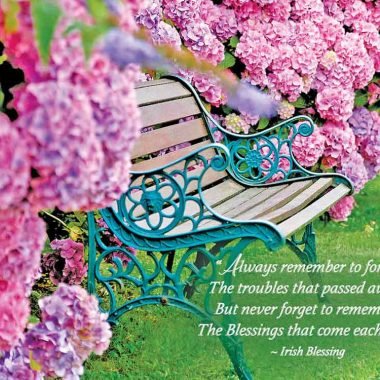 Blessings each day Thinking of You