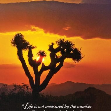 Desert sunrise Birthday card