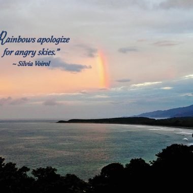 Rainbow-apology-card