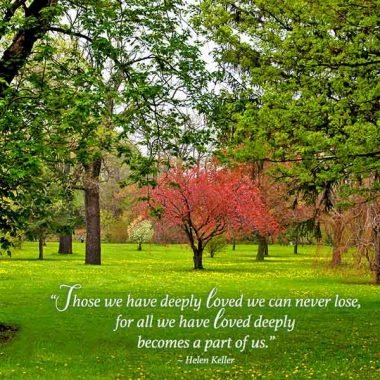 Helen-keller-sympathy-card