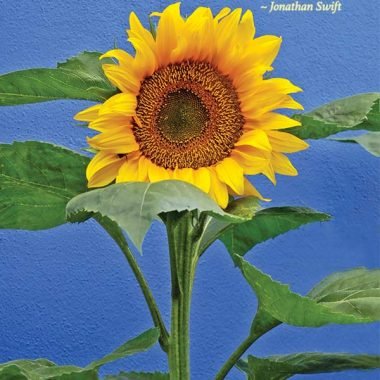 sunflower birthday card