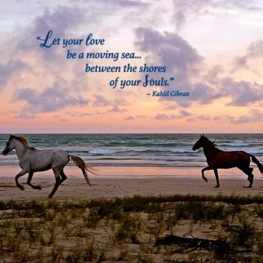Wild-horses-wedding-card