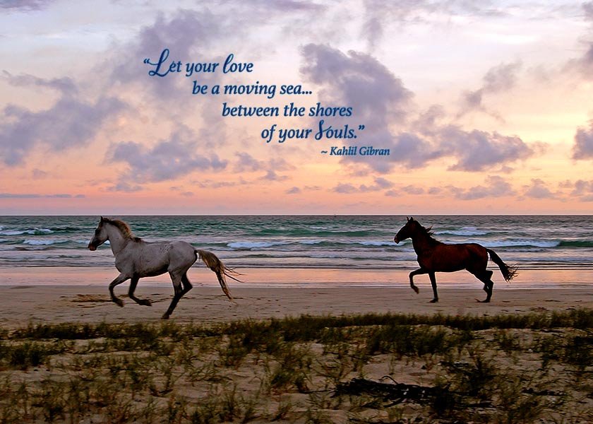 Wild-horses-wedding-card