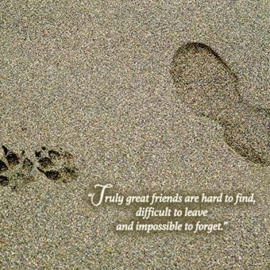 dog footprints pet sympathy card
