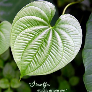 Exactly as you are valentines card