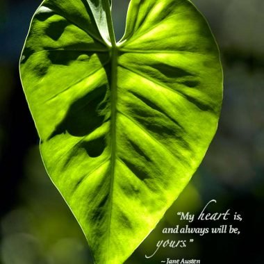 My-heart-is-yours anniversary card