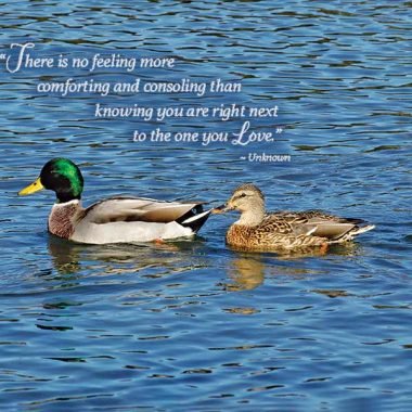 Next to your love valentines card