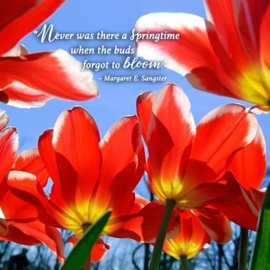 Springtime thinking of you card