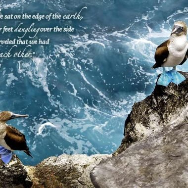 found-each-other-valentines