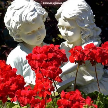 loved-you-first-valentines