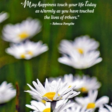 Daisies-mothers-card-card