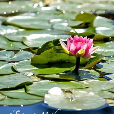 Irish-saying-mothers-day card