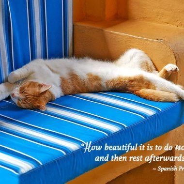 Sleeping Cat Retirement Card