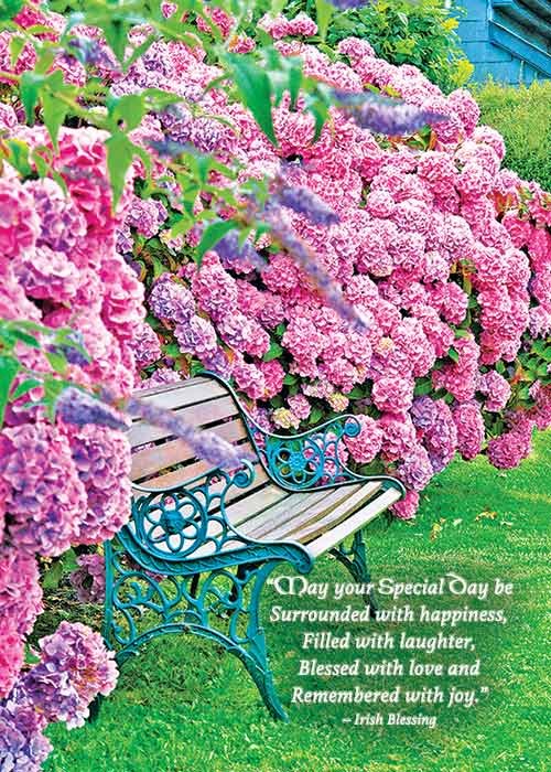 Irish hydrangea special day