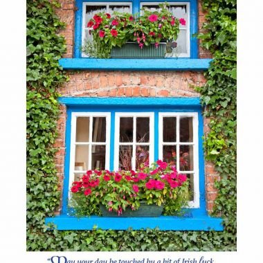 Irish luck birthday card