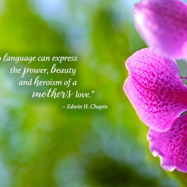 Orchid Mother's day card