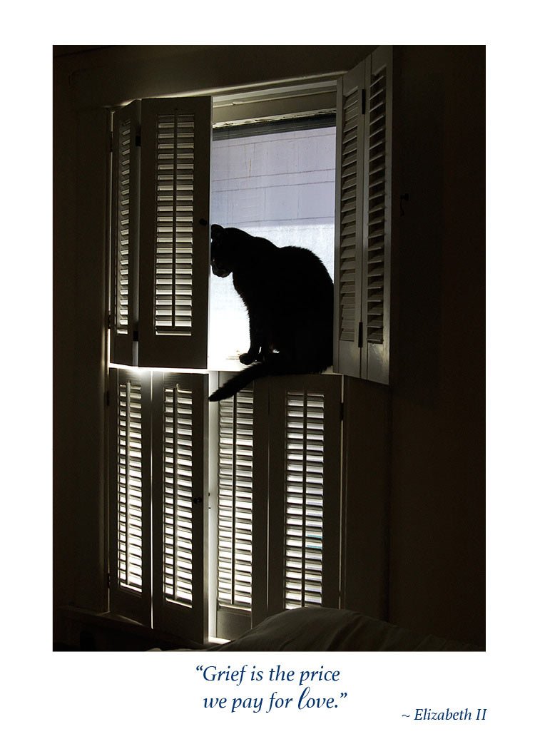 Cat pet sympathy card