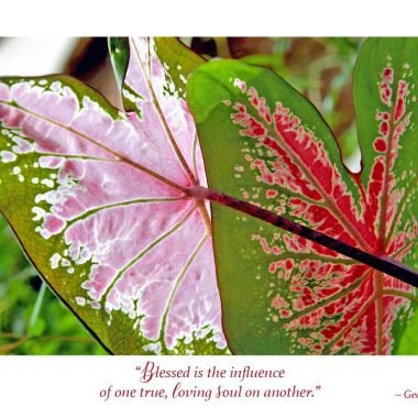 True soul thank you card