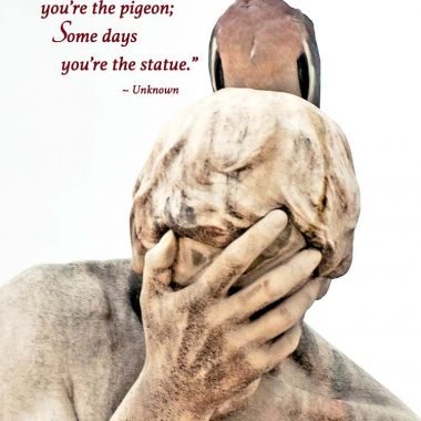 Pigeon and Statue card