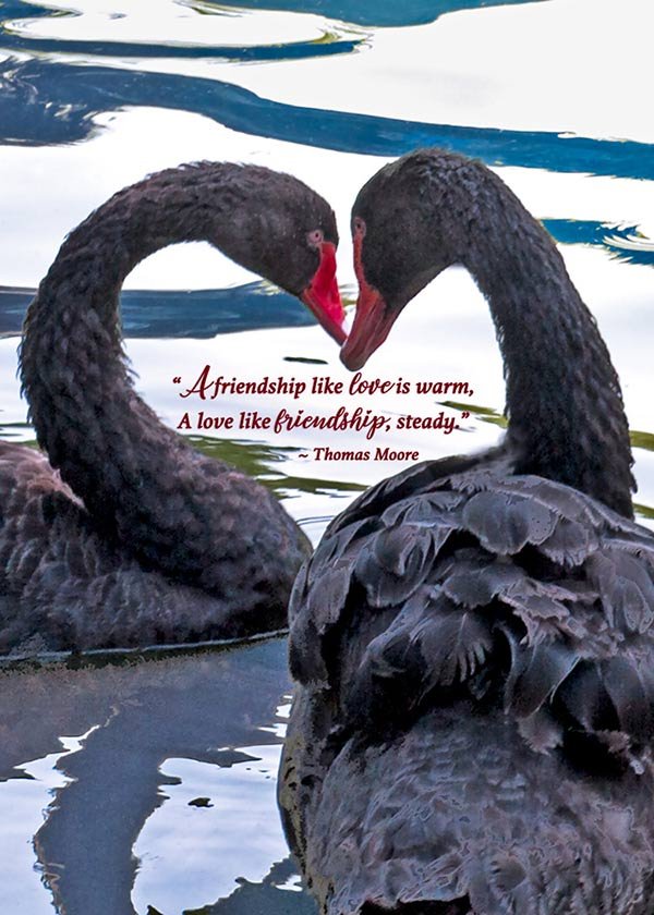 Thomas Moore anniversary card