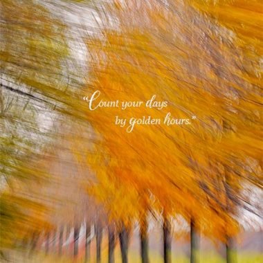 Golden hours birthday card