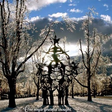 Birds in flight Holiday card