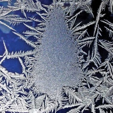 Frozen Christmas tree card