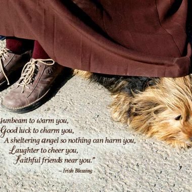 Faithful friends near you card