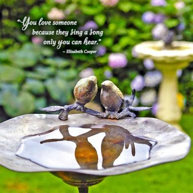 Lovebirds anniversary card