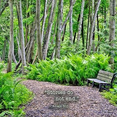 Stories sympathy card