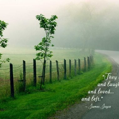 James Joyce sympathy card