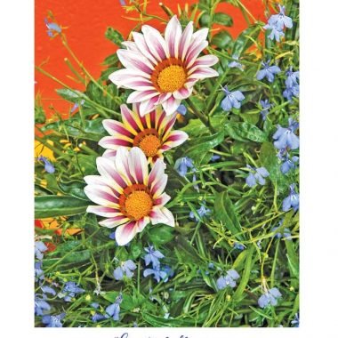 Gratitude blossoms thank you card