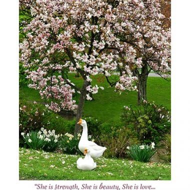 Strength and beauty mothers day