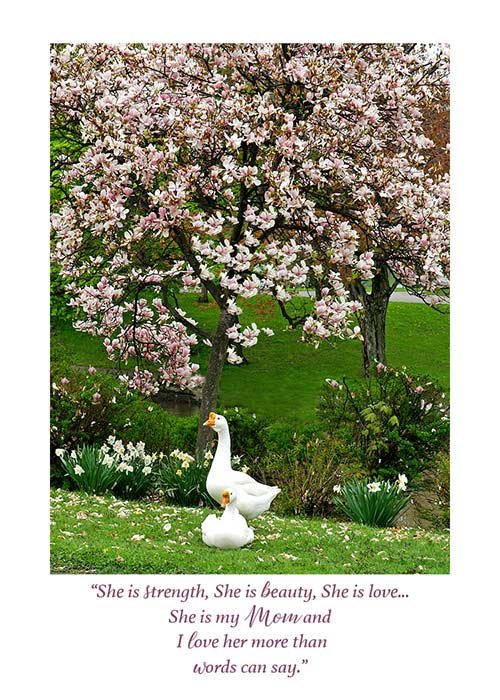 Strength and beauty mothers day