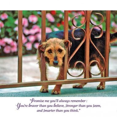 braver stronger smarter card