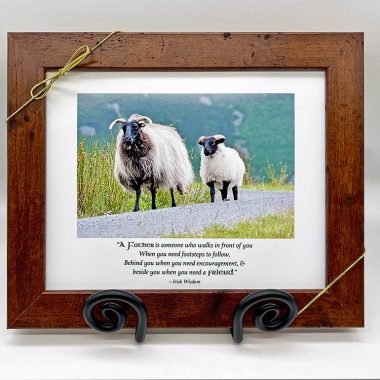 Father son sheep framed