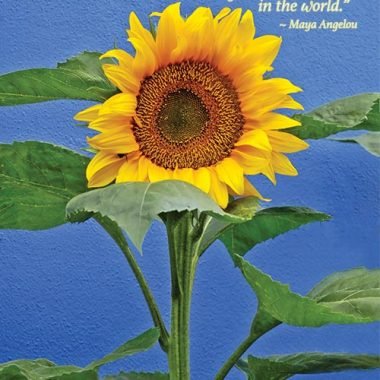 Maya Angelou sunflower birthday card