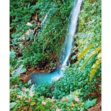 Thank you for sympathy card