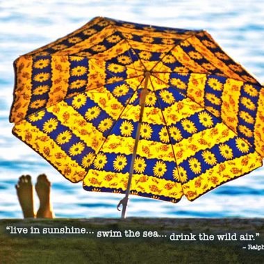 Live in sunshine birthday card