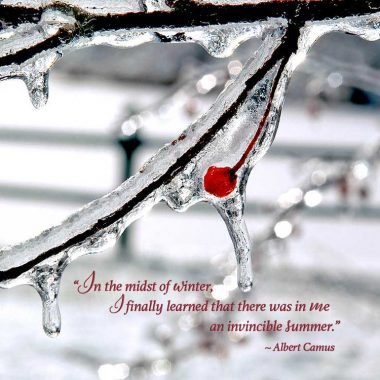 Invincible summer Camus card