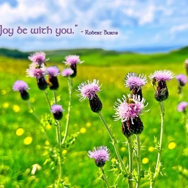 Joy be with you birthday card