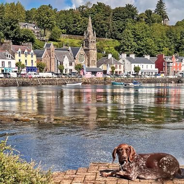 Robert Burns birthday card